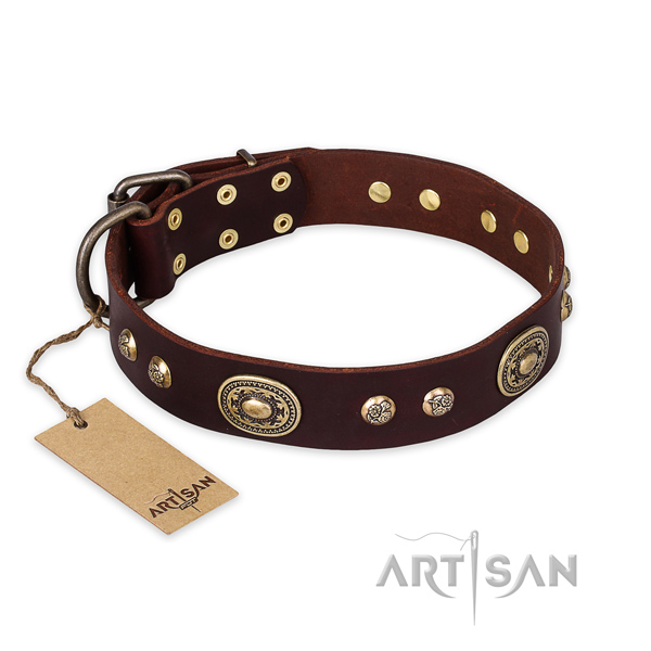 Fashionable design adornments on genuine leather dog collar