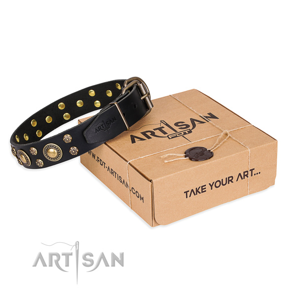 Daily leather dog collar with astonishing decorations