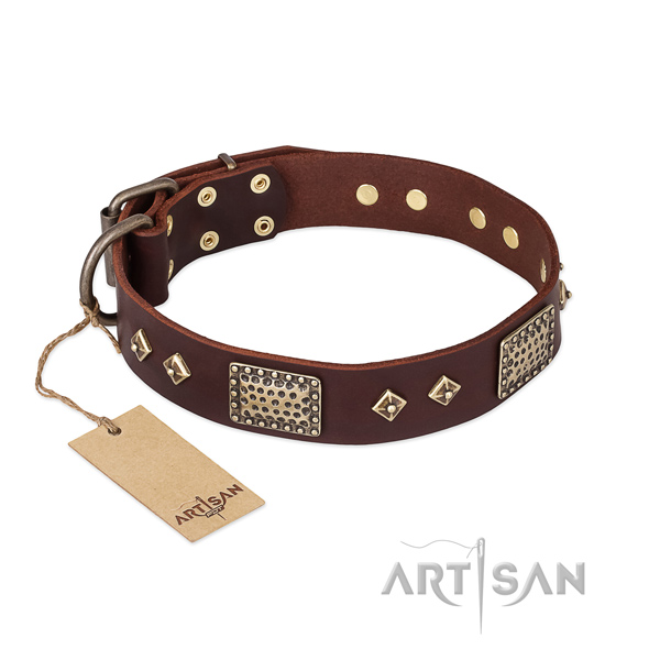 Remarkable design adornments on full grain genuine leather dog collar