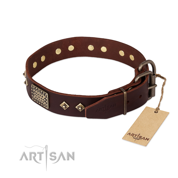 Everyday walking natural genuine leather collar with studs for your four-legged friend