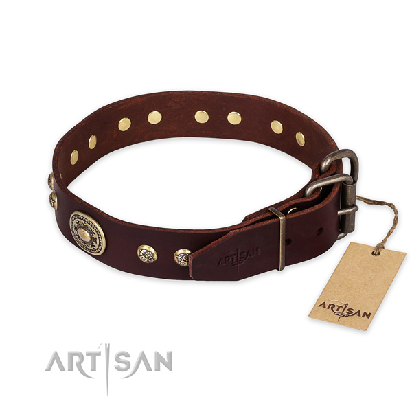 Daily walking full grain natural leather collar with adornments for your canine