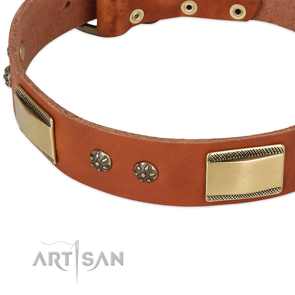 Everyday walking full grain leather collar with strong buckle and D-ring