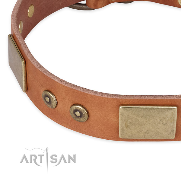 Walking leather collar with rust resistant buckle and D-ring