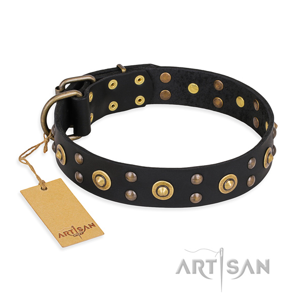 Exceptional design adornments on leather dog collar