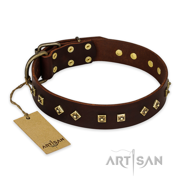 Top notch design studs on genuine leather dog collar