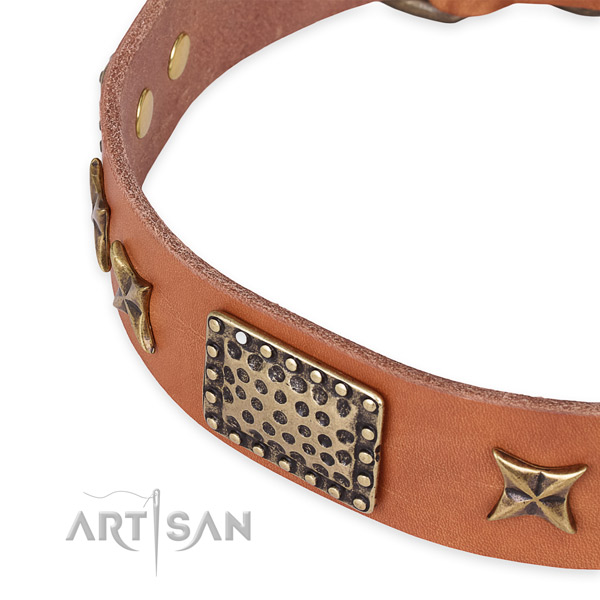 Easy to adjust leather dog collar with resistant to tear and wear durable buckle