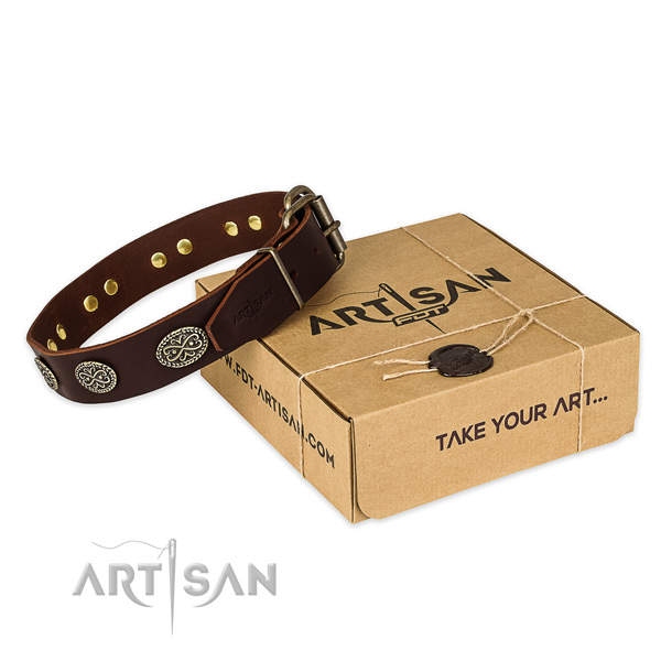 Finest quality full grain genuine leather dog collar for walking in style