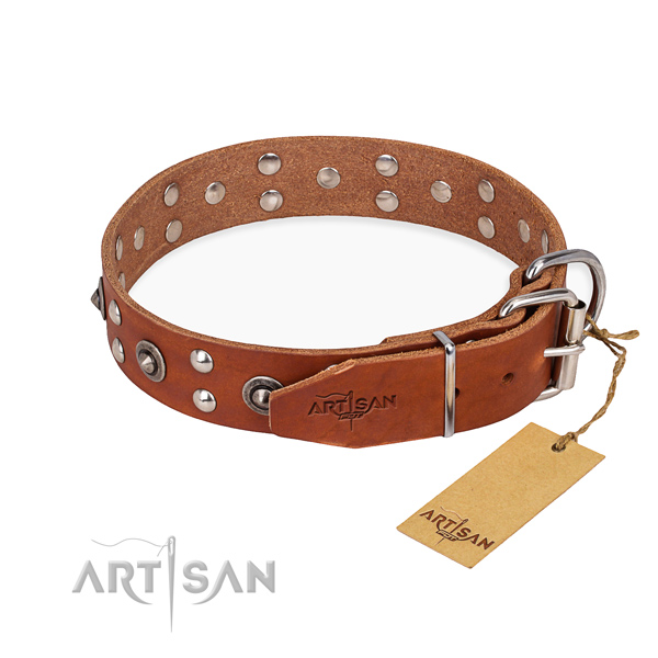 Walking genuine leather collar with studs for your canine