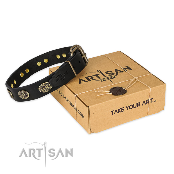 Top quality full grain genuine leather dog collar for everyday walking