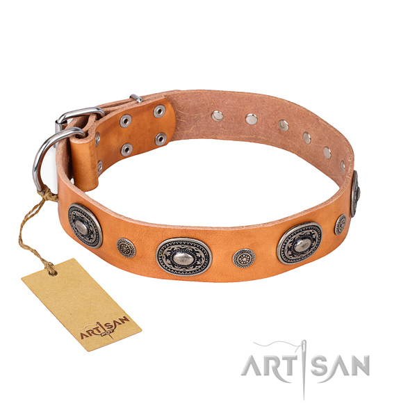 Fashionable design adornments on full grain leather dog collar