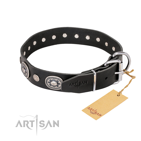Stylish leather collar for your stunning dog