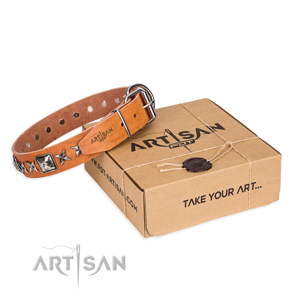 Awesome natural genuine leather dog collar for walking