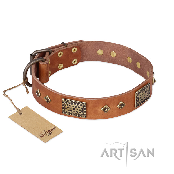 Incredible design adornments on natural genuine leather dog collar