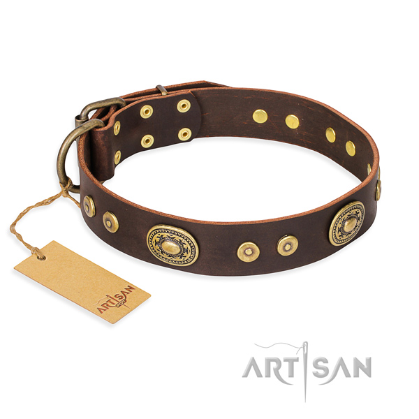 Indestructible leather dog collar with rust-proof details