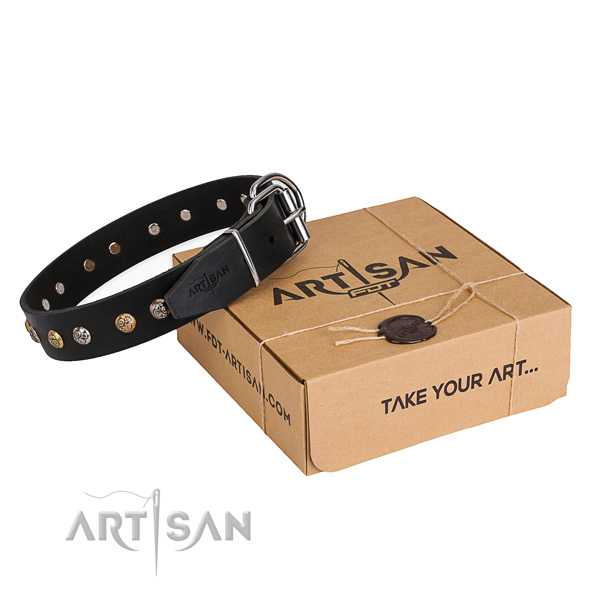 Perfect fit full grain genuine leather dog collar for everyday walking