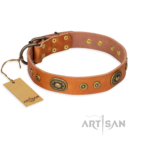 Heavy-duty leather dog collar with reliable hardware