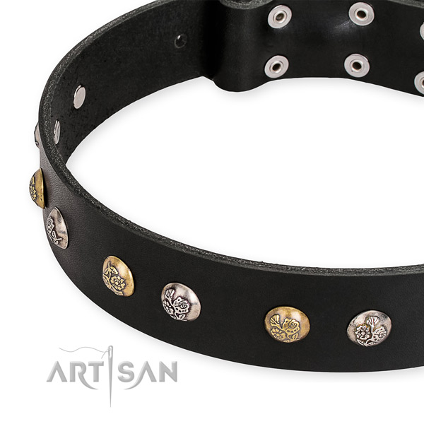 Easy to put on/off leather dog collar with resistant to tear and wear rust-proof hardware