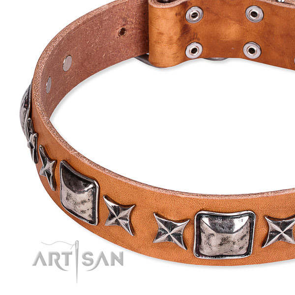 Snugly fitted leather dog collar with resistant to tear and wear rust-proof set of hardware