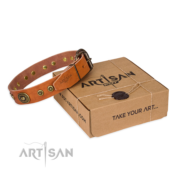 Stylish design full grain natural leather dog collar for walking