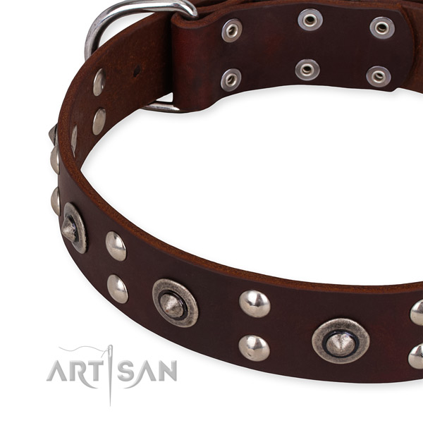 Easy to put on/off leather dog collar with extra strong rust-proof set of hardware