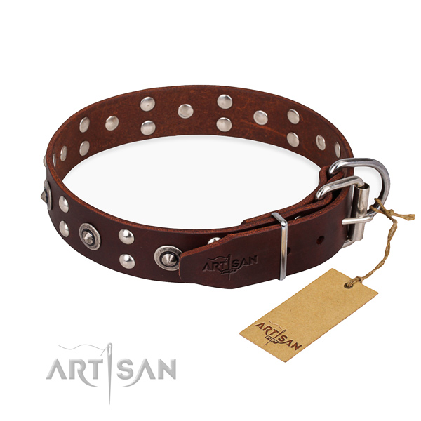 Practical leather collar for your gorgeous dog