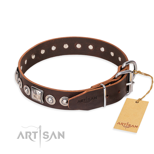 Fashionable leather collar for your handsome canine