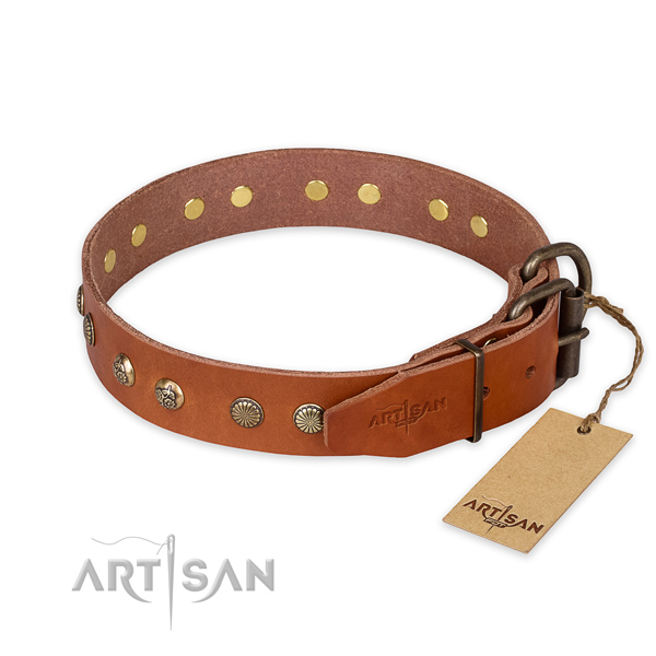 Daily walking leather collar with studs for your dog