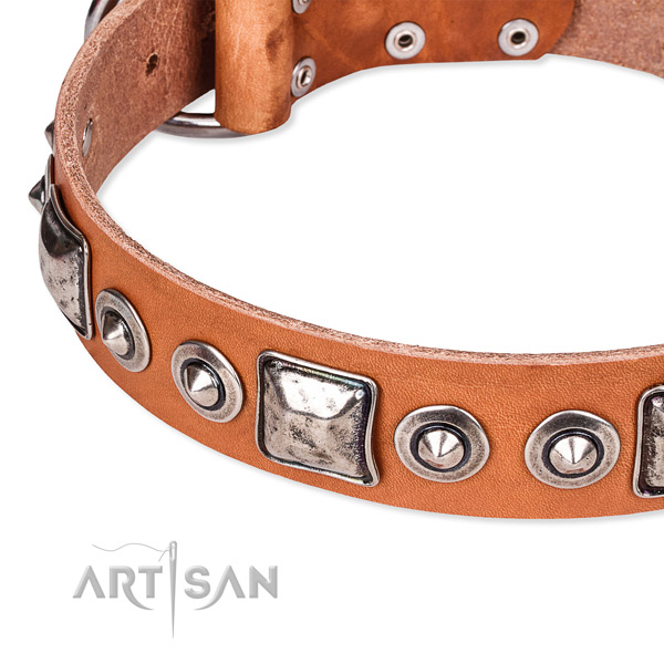 Quick to fasten leather dog collar with almost unbreakable chrome plated buckle