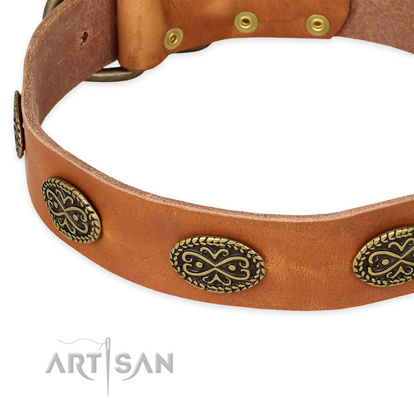 Easy to adjust leather dog collar with extra sturdy non-rusting buckle