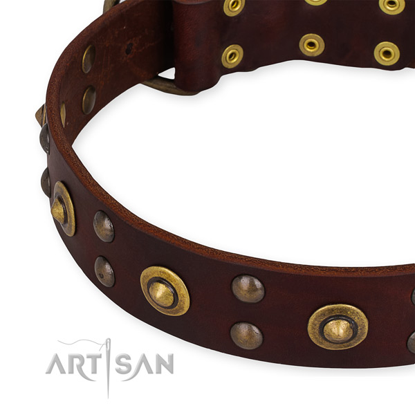 Easy to put on/off leather dog collar with resistant rust-proof buckle