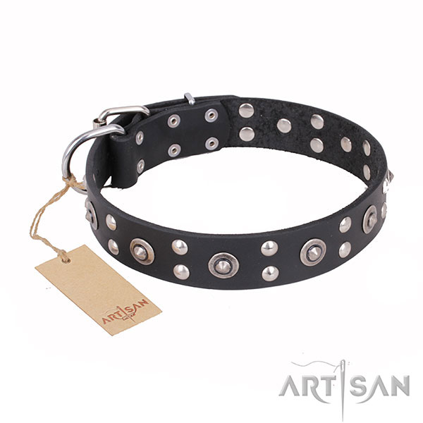 Unusual design studs on genuine leather dog collar