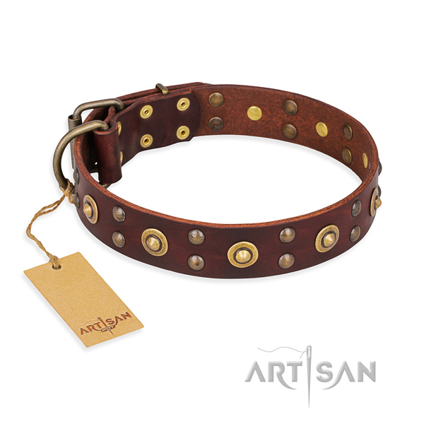 Impressive design decorations on full grain leather dog collar