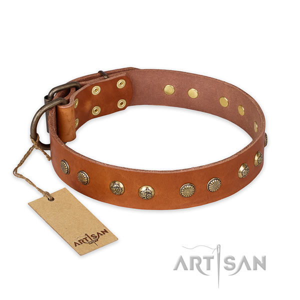 Exquisite design studs on leather dog collar