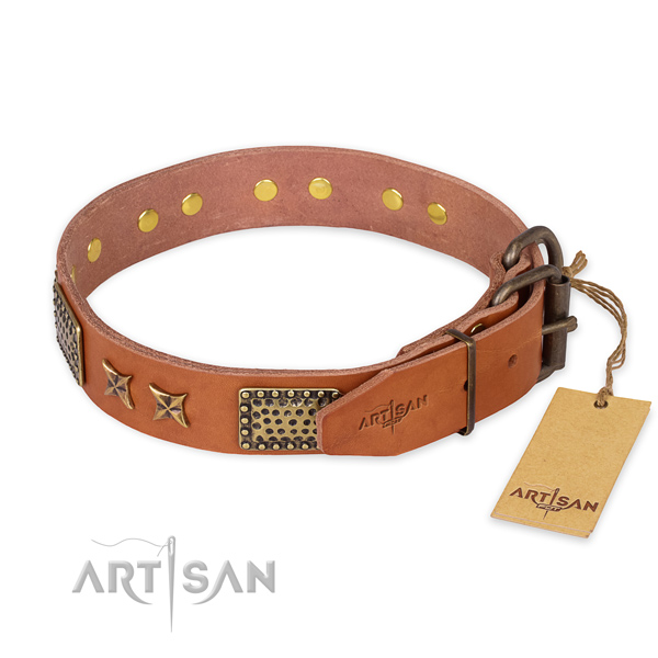 Everyday walking genuine leather collar with embellishments for your four-legged friend