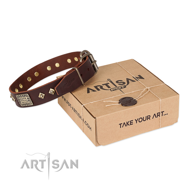 Trendy full grain genuine leather dog collar for stylish walking