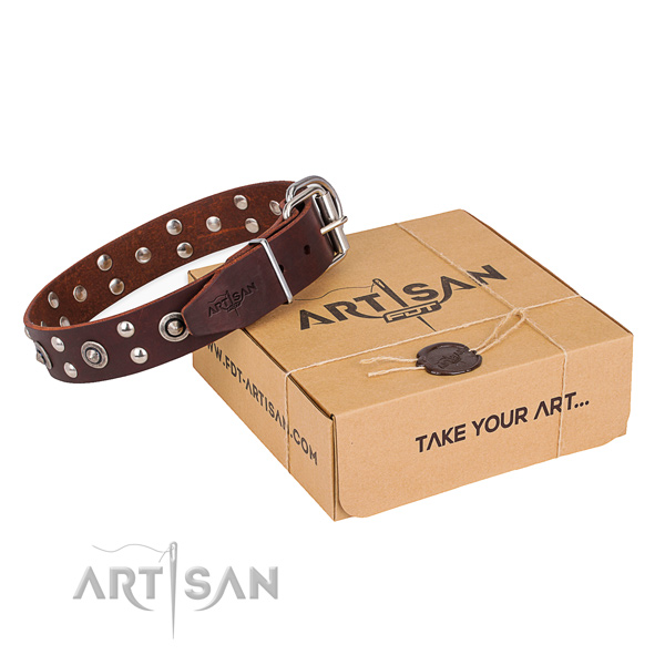 Finest quality leather dog collar for stylish walking