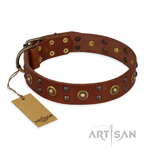 Extraordinary design decorations on full grain natural leather dog collar