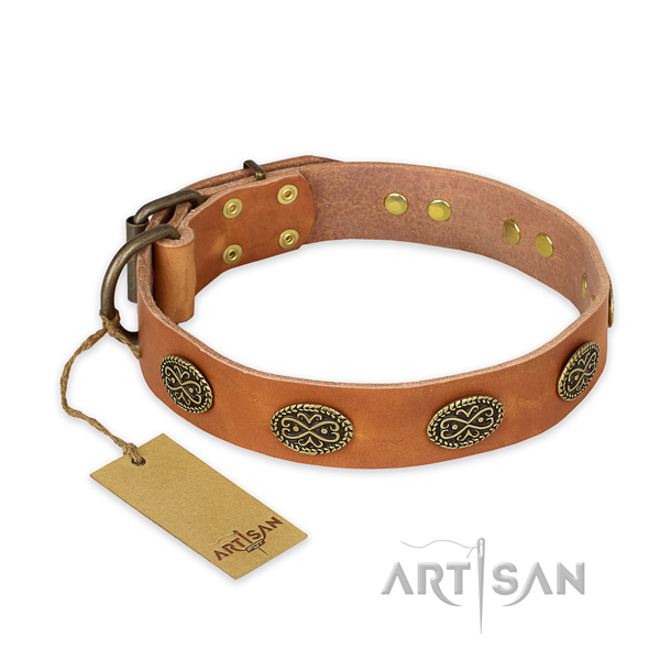 Stunning design adornments on leather dog collar