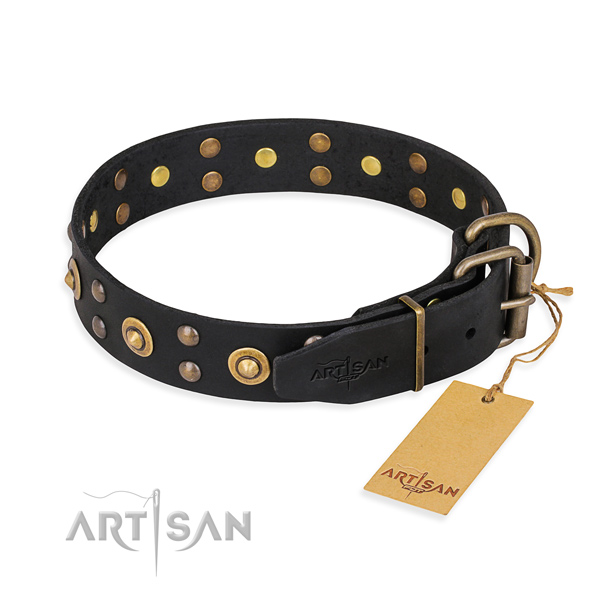 Stylish walking leather collar with adornments for your four-legged friend