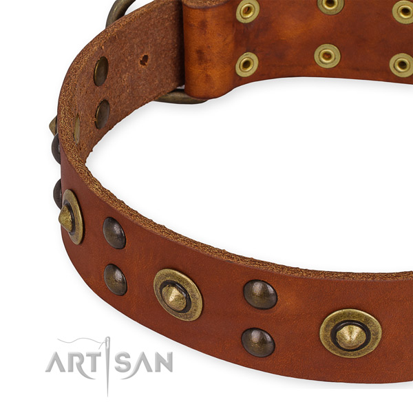 Quick to fasten leather dog collar with resistant to tear and wear rust-proof buckle and D-ring