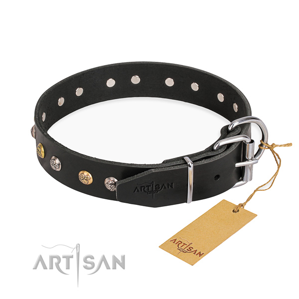 Tear-proof leather collar for your gorgeous dog