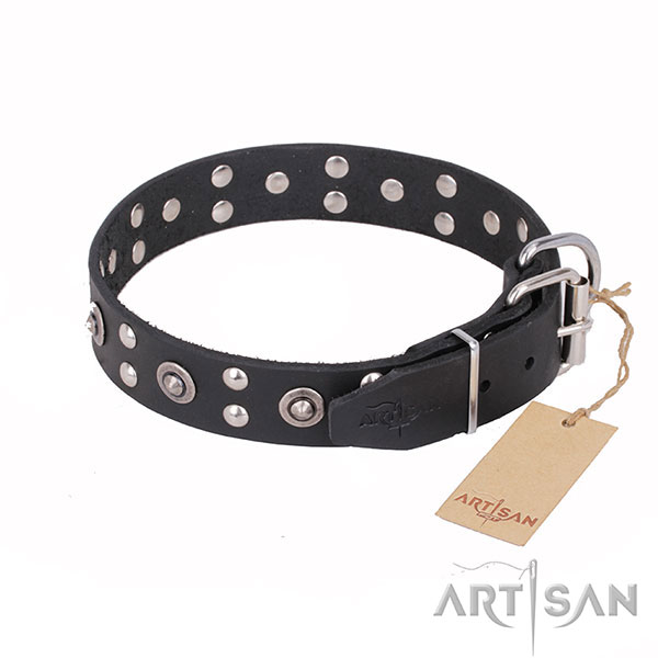 Fashionable leather collar for your darling four-legged friend