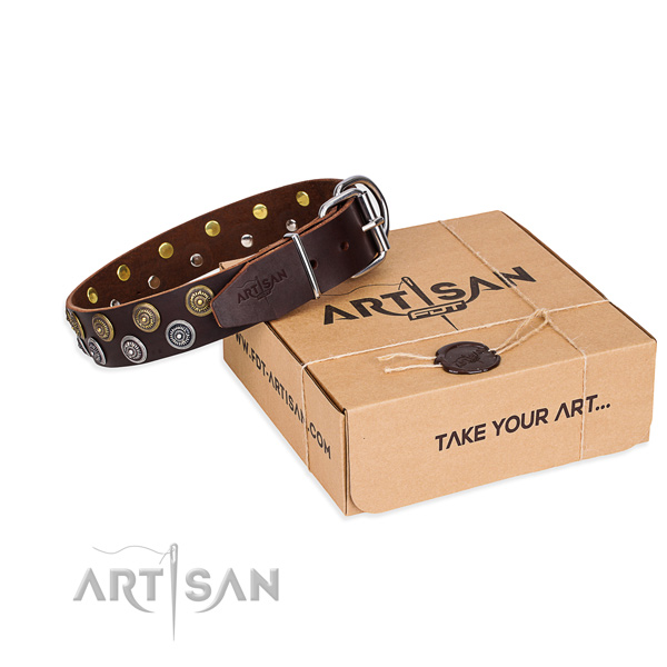 Casual style leather dog collar with exceptional decorations