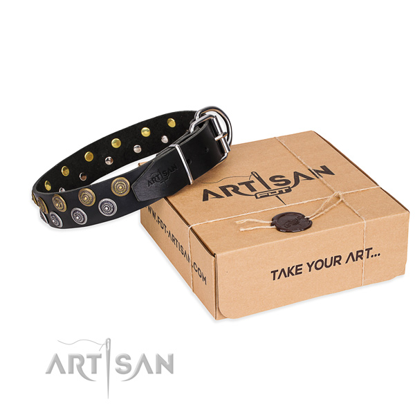 Casual style leather dog collar with elegant embellishments