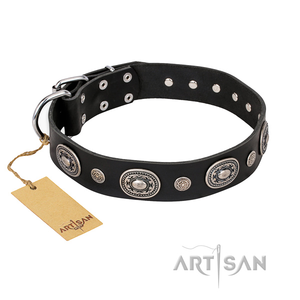 Incredible design studs on leather dog collar