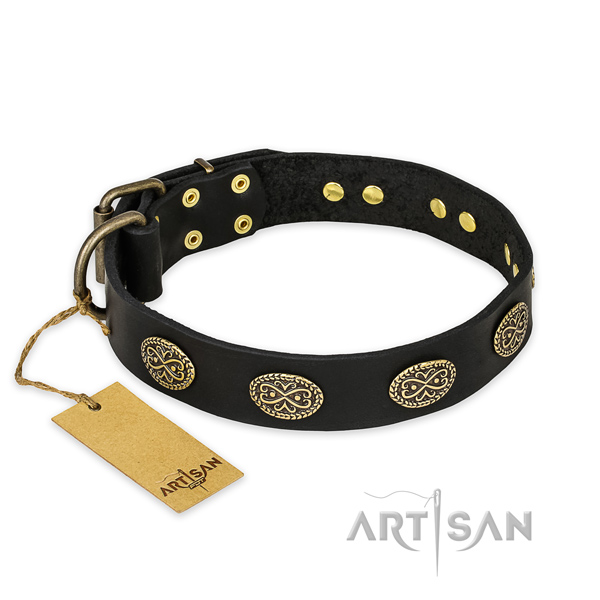 Amazing design studs on full grain natural leather dog collar