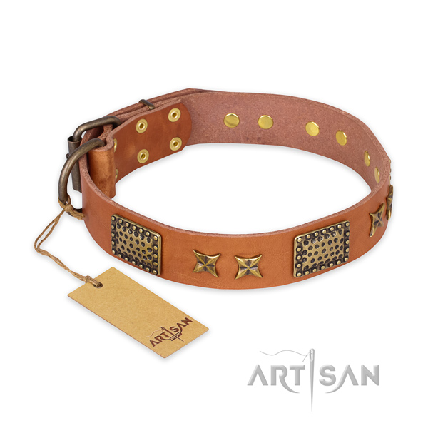 Remarkable design embellishments on full grain natural leather dog collar