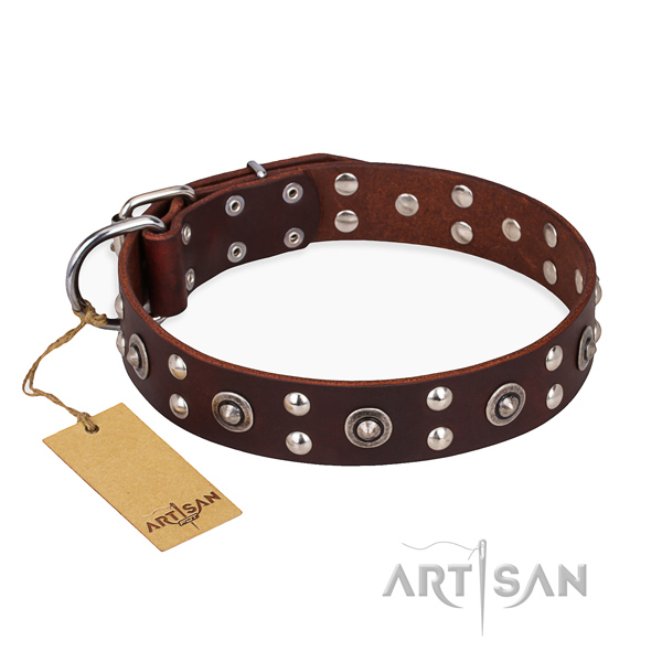 Impressive design decorations on leather dog collar