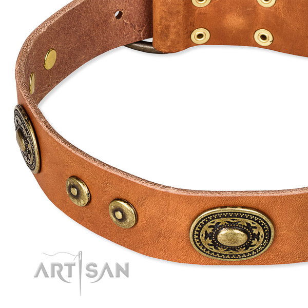 Easy to put on/off leather dog collar with almost unbreakable brass plated buckle