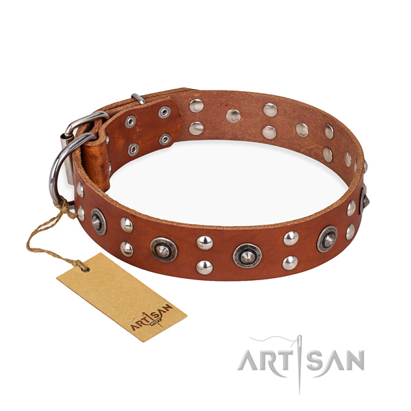 Amazing design decorations on full grain leather dog collar